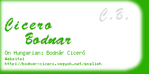 cicero bodnar business card